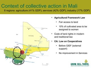 Context of collective action in Mali 8 regions: agriculture (41% GDP); services (42% GDP); industry (17% GDP) Agricultural Framework Law Fair access to land 10% of cultivated area to be assigned to women Code of land rights in modern and traditional law CA: Law on Cooperatives Before GIEF (external support) No improvement in Services  