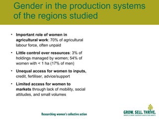 Gender in the production systems of the regions studied Important role of women in agricultural work : 70% of agricultural labour force, often unpaid  Little control over resources : 3% of holdings managed by women; 54% of women with < 1 ha (17% of men) Unequal access for women to inputs,  credit, fertiliser, advice/support Limited access for women to markets  through   lack of mobility, social attitudes, and small volumes   