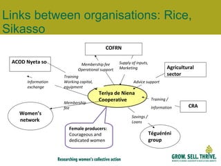 Links between organisations: Rice, Sikasso Women’s network  Teriya de Niena Cooperative ACOD Nyeta so CRA Agricultural sector COFRN T é gu éré ni group Female producers: Courageous and dedicated women Training Working capital,  equipment Supply of inputs, Marketing Membership fee Operational support Advice support Training / Information Information exchange Membership fee Savings / Loans 