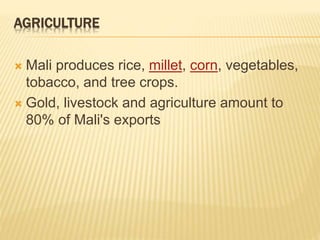 AGRICULTURE
 Mali produces rice, millet, corn, vegetables,
tobacco, and tree crops.
 Gold, livestock and agriculture amount to
80% of Mali's exports
 