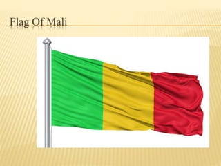 Flag Of Mali
 