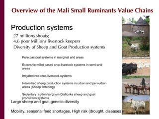Mali small ruminant value chains: Where are we?