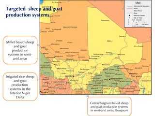 Mali small ruminant value chains: Where are we?