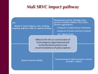 Mali small ruminant value chains: Where are we?