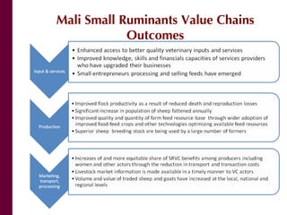 Mali small ruminant value chains: Where are we?