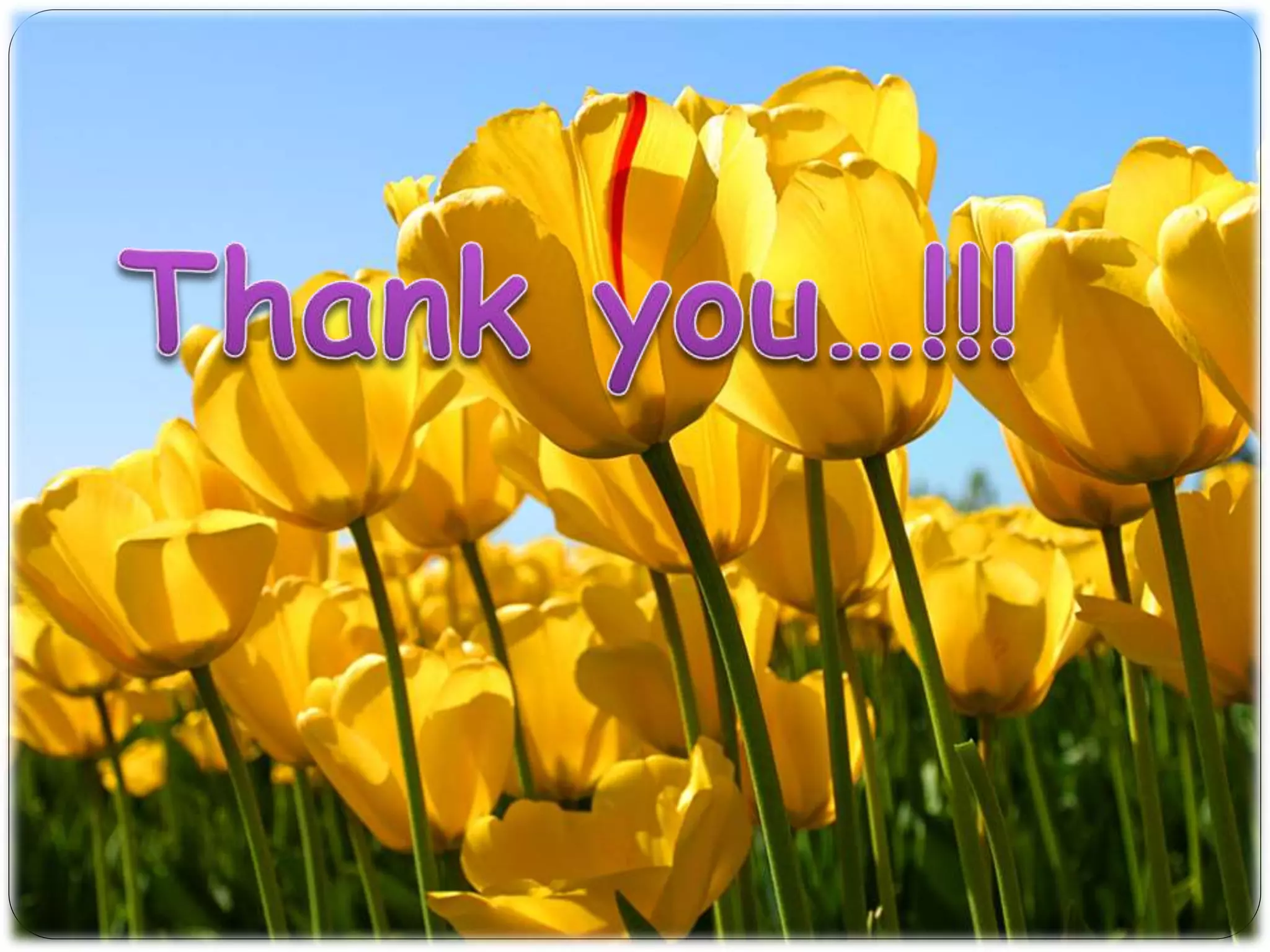 Buccal Drug Delivery System Mali vv ppt