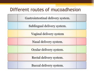 Different routes of mucoadhesion
Nasal delivery system.
Ocular delivery system.
Rectal delivery system.
Buccal delivery system.
Vaginal delivery system
Sublingual delivery system.
Gastrointestinal delivery system.
 