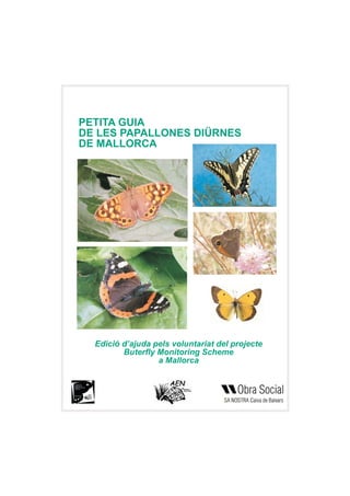 PETITA GUIA
DE LES PAPALLONES DIÜRNES
DE MALLORCA
Edició d’ajuda pels voluntariat del projecte
Buterfly Monitoring Scheme
a Mallorca
 