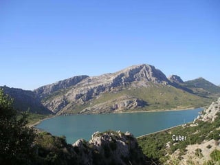 ú 