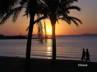 S'Arenal 