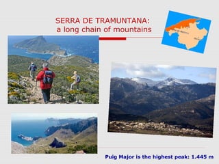 SERRA DE TRAMUNTANA:
a long chain of mountains




            Puig Major is the highest peak: 1.445 m
 