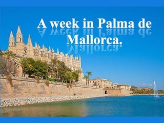 A week in Palma de Mallorca. 
