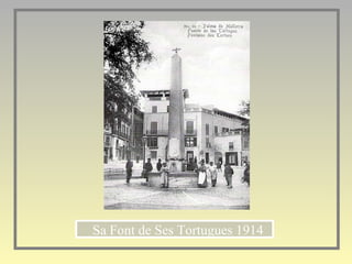 Sa Font de Ses Tortugues 1914 