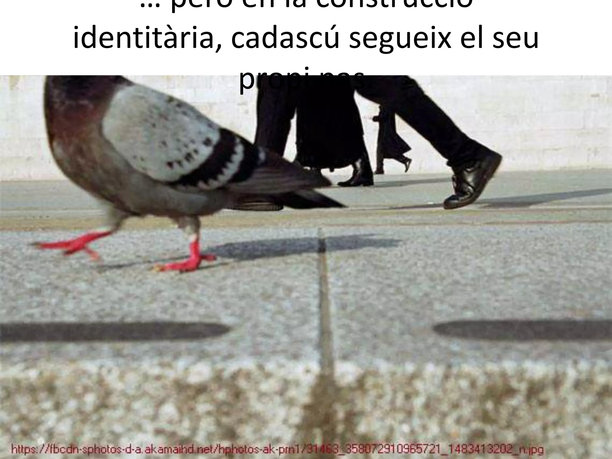 … però en la construcció
identitària, cadascú segueix el seu
propi pas.
 