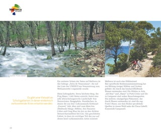 Quellen “Fonts Ufanes”                                                                    Fahrradtourismus


                                         Ein weiterer Schatz der Natur auf Mallorca ist   Mallorca ist auch eine Höhleninsel.
                                         das Gebirge „Serra de Tramuntana“, die auf       Ihre spezifische Bodenzusammensetzung hat
                                         der Liste der UNESCO zur Nominierung zum         zur Bildung riesiger Höhlen und Grotten
                                         Weltnaturerbe vorgemerkt wurde.                  geführt, die durch das hindurchfließende
                                                                                          Wasser entstanden sind. Die Höhlen in Artà,
                                         Diese Gebirgskette, deren höchster Berg, der     „del Drac“ und „Hams“ in Porto Cristo und die
                                         Puig Major, 1.445 Meter erreicht, bietet eine    in Campanet sind wahre Besuchsmagneten.
              Es gibt eine Vielzahl an   sehr abwechslungsreiche Landschaft: Von          Ein anderes, einzigartiges Phänomen, das
  Schutzgebieten, in denen endemisch     Steinwüsten, Berggipfeln, Sturzbächen, in        durch Wasser entstanden ist, sind die sog.
 vorkommende Arten erhalten werden.      denen die nur hier vorkommende Krötenart         Fonts Ufanes, aus dem Boden sprudelnde
                                         „Ferreret“ lebt, über steil zum Meer hin         Quellen in einem Wald nahe der Finca Gabellí
                                         abfallende Hänge, Höhlen, den Stauseen           (Gemeinde Campanet).
                                         Cúber und Gorg Blau bis hin zu den dichten
                                         Steineichenwäldern bei Lluc. Ein geschütztes
                                         Gebiet, in dem ein wichtiger Teil der nur auf
                                         dieser Insel vorkommenden Arten existiert.



20
 