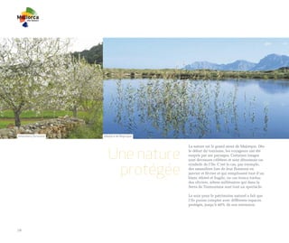 Amendiers flurissant   Albufera de Majorque




                          Une nature
                                              La nature est le grand atout de Majorque. Dès
                                              le début du tourisme, les voyageurs ont été
                                              surpris par ses paysages. Certaines images
                                              sont devenues célèbres et sont désormais un


                           protégée
                                              symbole de l’île. C’est le cas, par exemple,
                                              des amandiers lors de leur floraison en
                                              janvier et février et qui remplissent tout d’un
                                              blanc éthéré et fragile, ou ces troncs tordus
                                              des oliviers, arbres millénaires qui dans la
                                              Serra de Tramuntana sont tout un spectacle.

                                              Le soin pour le patrimoine naturel a fait que
                                              l’île puisse compter avec différents espaces
                                              protégés, jusqu’à 40% de son extension.




18
 