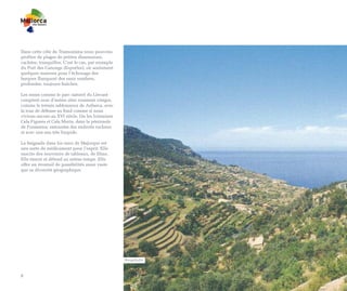 Dans cette côte de Tramuntana nous pouvons
profiter de plages de petites dimensions,
cachées, tranquilles. C’est le cas, par exemple
du Port des Canonge (Esporles), où seulement
quelques maisons pour l’échouage des
barques flanquent des eaux sombres,
profondes, toujours fraîches.

Les zones comme le parc naturel du Llevant
comptent avec d’autres sites vraiment vierges,
comme le terrain sablonneux de Aubarca, avec
la tour de défense au fond comme si nous
vivions encore au XVI siècle. Ou les lointaines
Cala Figuera et Cala Murta, dans la péninsule
de Formentor, entourées des endroits rocheux
et avec une eau très limpide.

La baignade dans les eaux de Majorque est
une sorte de médicament pour l’esprit. Elle
suscite des souvenirs de tableaux, de films.
Elle émeut et détend au même temps. Elle
offre un éventail de possibilités aussi vaste
que sa diversité géographique.




                                                  Banyalbufar



8
 