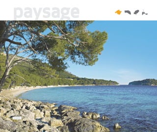 paysage




Port d’es Canonge
Formentor
 