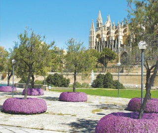 Parc de la Mar. Palma
 