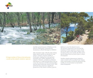 Fonts Ufanes                                                                              Cycling Tourism


                                        Another natural treasure of Mallorca is the       Mallorca is also the island of caves.
                                        Serra de Tramuntana, nominated for                The ground composition has favoured the
                                        declaration as World Heritage by UNESCO.          formation of these immense caverns, bored
                                                                                          out by the course of the water. Classic visits
                                        This mountain range, with the peak of Puig        are those to the caves of Artà, the Drac Caves
                                        Major which reaches an altitude of 1,445          and the Hams Caves in Porto Cristo, or those
                                        metres, contains a diverse wealth of              of Campanet.
A large number of the protected areas   landscapes, ranging from stony ground,
conserve the island's endemic species   mountain tops, gullies inhabited by the           Another singular phenomenon related to
                                        endemic “ferreret”, or Mallorcan Midwife          water is found in the so-called Fonts Ufanes,
                                        toad species, to cliffs towering above the sea,   when water gushes up from the ground in the
                                        caves, the reservoirs of Cúber and Gorg Blau,     middle of a wood located on the Gabellí
                                        and the dense holm-oak woods of Lluc. This        estate (Campanet).
                                        protected area conserves a significant
                                        proportion of the island’s endemic species.




20
 