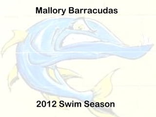 Mallory Barracudas




2012 Swim Season
 