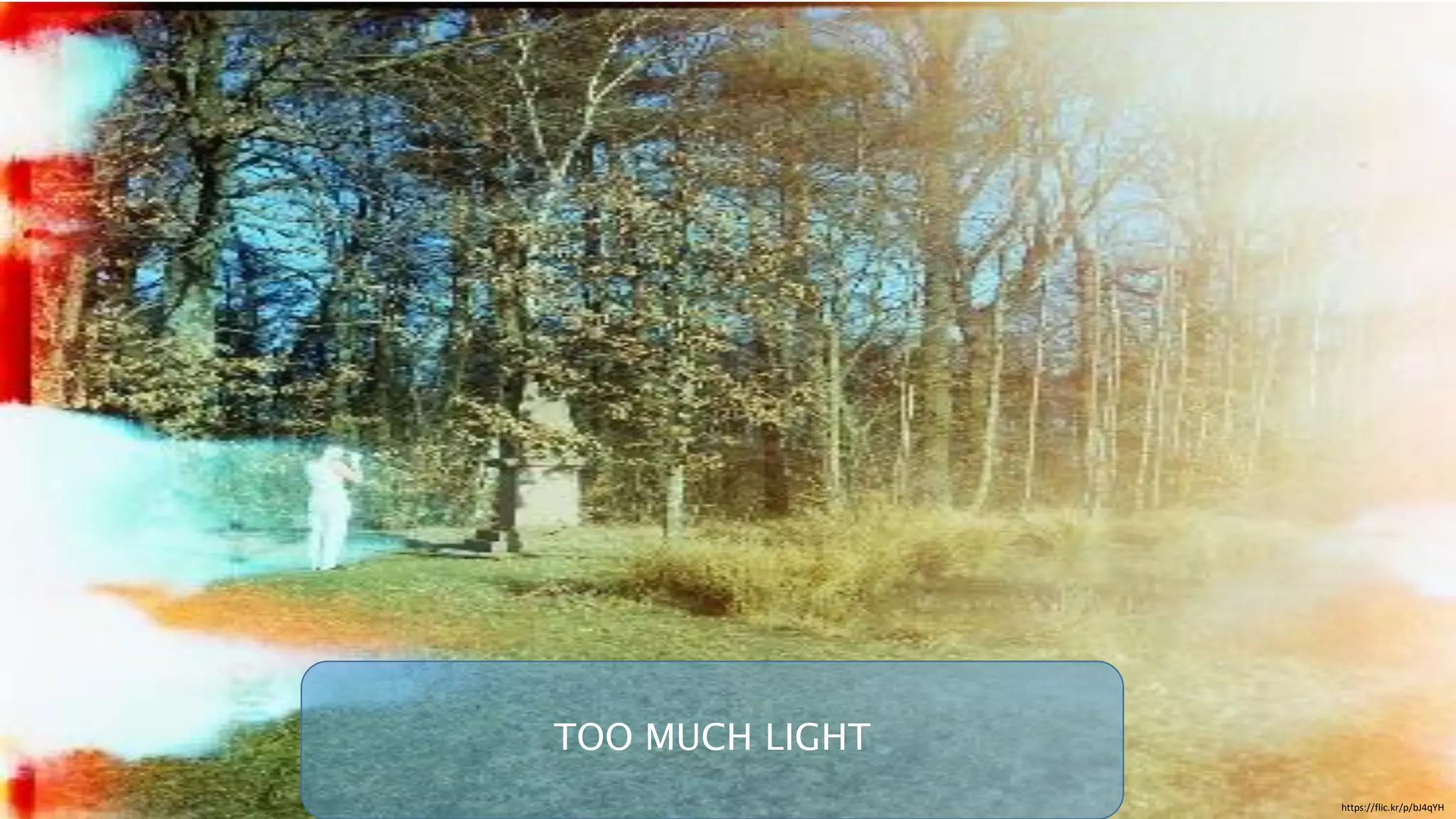 https://flic.kr/p/bJ4qYH
TOO MUCH LIGHT
 