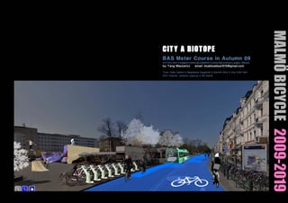 Malmö Bicycle Plan 2009 2019