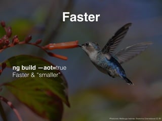 Faster
ng build —aot=true 
Faster & “smaller”
Photocred: Mellisuga helenae, Ekaterina Chernetsova CC BY
 