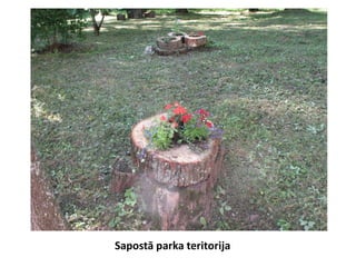 Sapostā parka teritorija
 