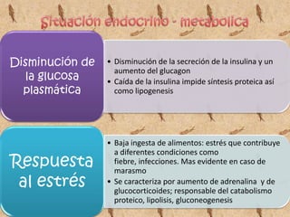 Situación endocrino - metabolica