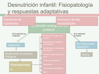 Desnutrición infantil: Fisiopatología
y respuestas adaptativas
Restricción energética y/o
proteica
Aumento de las
necesidades
Carencia de
nutrientes
Muerte
Sí la restricción es
moderada
Sí la restricción
es severa
Adaptación
No Puede existir
adaptación
Modificación de patrones
biológicos
Homeorresi
s
Movilización y gasto de
energía
Degradación y síntesis
de proteínas
Hematología y transporte
de oxígeno
Función cardiovascular y
renal
Sistema Inmunitario
Electrolitos
Función gastrointestinal:
SNC
 