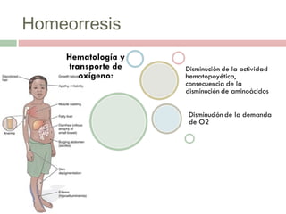 Homeorresis
 