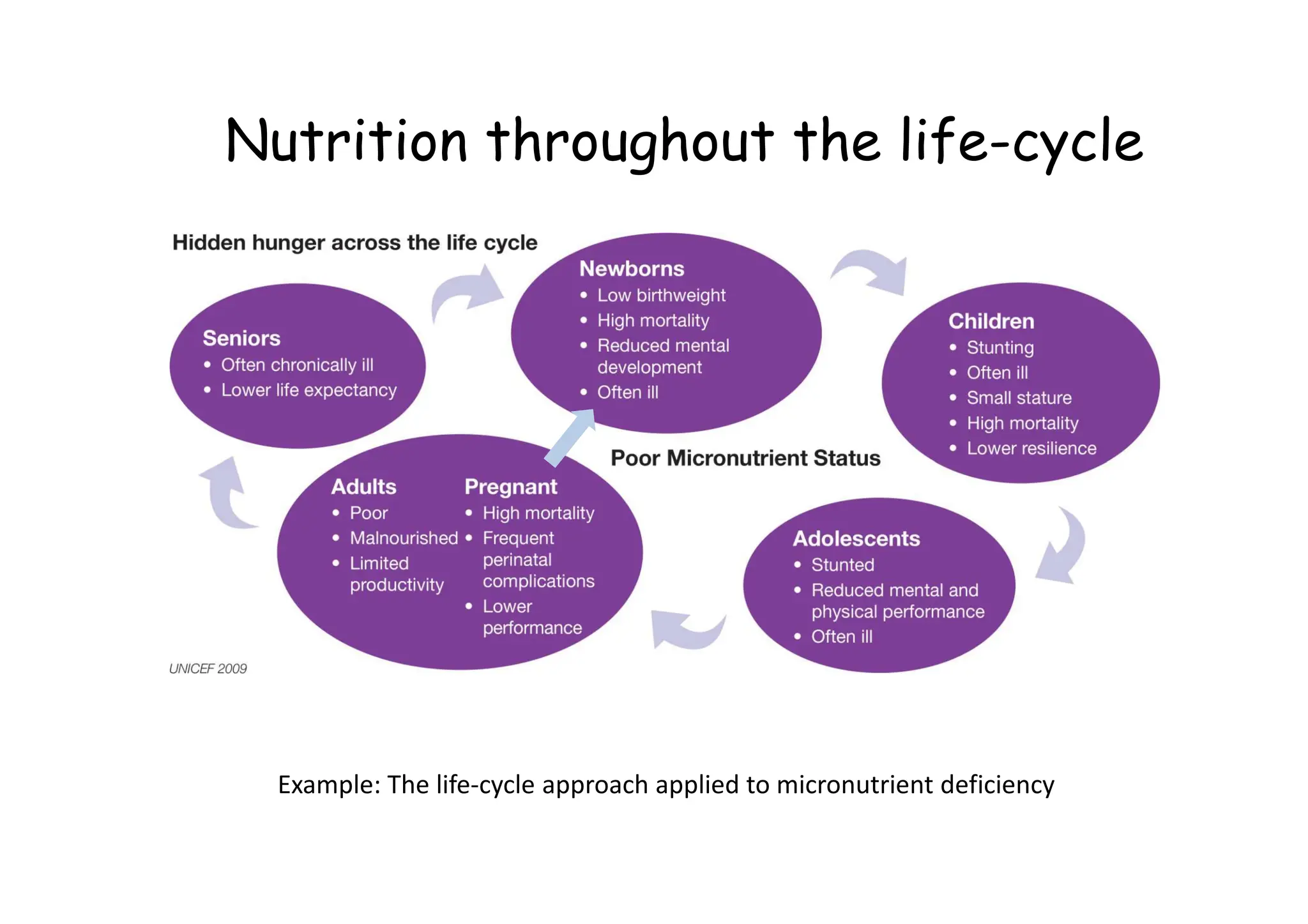 Nutrition throughout the life-cycle
Example: The life-cycle approach applied to micronutrient deficiency
 