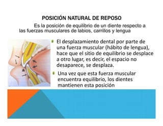 Labio Reposo Maloclusion,Tipos y Clasificación | PDF