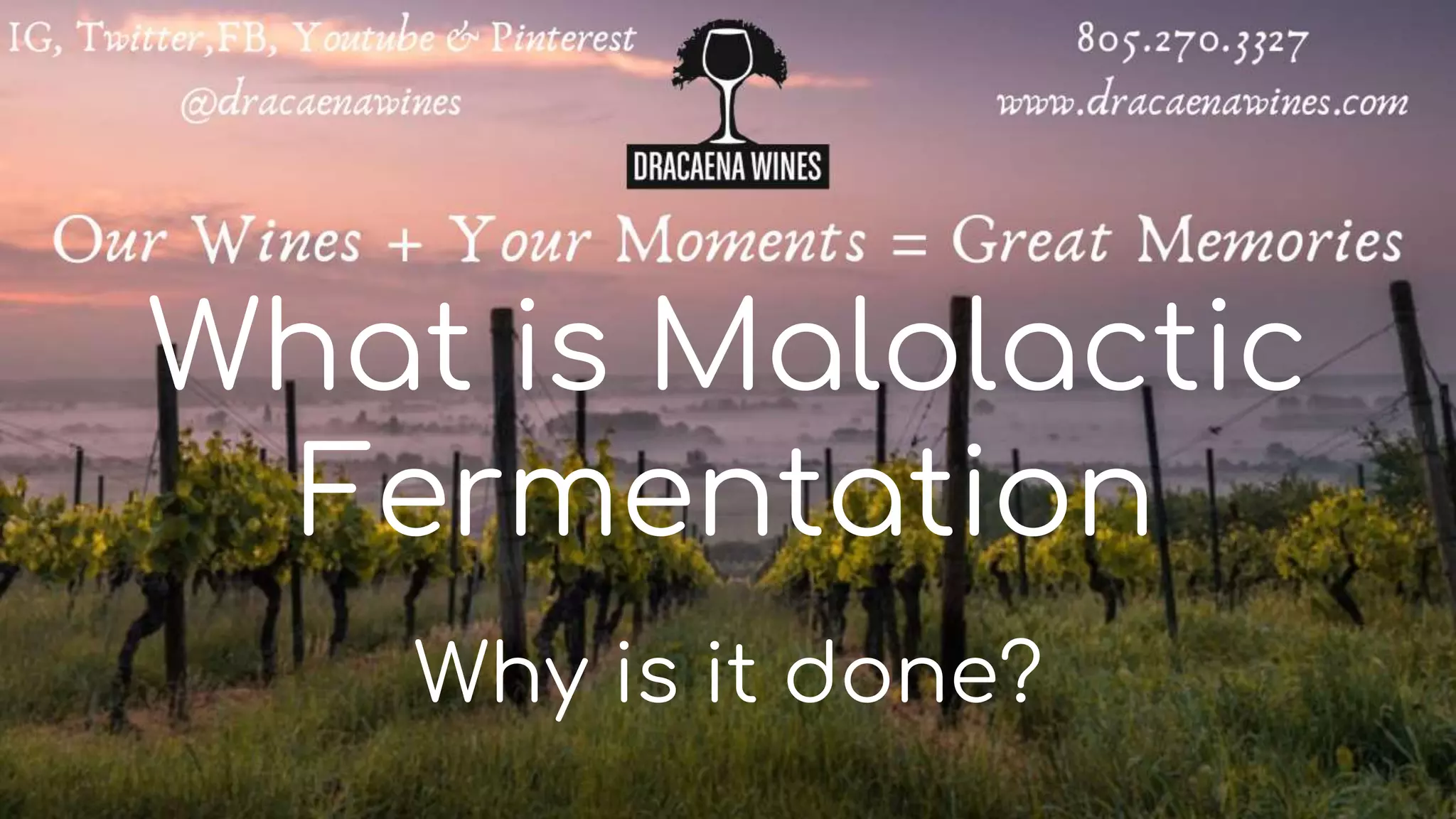What is Malolactic
Fermentation
Why is it done?
 