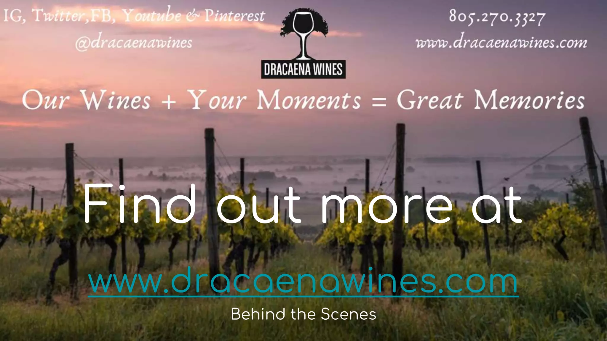 Find out more at
www.dracaenawines.com
Behind the Scenes
 