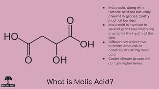 ● Malic acid, along with
tartaric acid are naturally
present in grapes. (pretty
much all berries)
● Malic acid is involved in
several processes which are
crucial for the health of the
vine.
● Different varieties have
different amounts of
naturally occurring malic
acid.
● Cooler climate grapes will
contain higher levels.
What is Malic Acid?
 