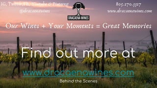 Find out more at
www.dracaenawines.com
Behind the Scenes
 
