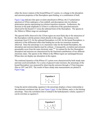 either the slower rotation of the bound RNase-LY system, or a change in the absorption
and emission properties of the fluorophore upon binding, or a combination of both.

Figure 3.jpg indicates that upon covalent attachment to RNase, the LY polarization
spectrum at 325nm undergoes a 5nm redshift, and decomposes into two distinct
polarization spectra representing two distinct transition moments. Furthermore, the
decrease in the peak amplitude at 325nm is a reflection of the quenched emission
observed for the bound LY versus the unbound form of the fluorophore. The spectra in
the 360nm to 500nm range are unchanged.

The spectral shifts observed in the 325nm region are most likely due to the interaction of
the fluorophore with the protein which absorbs in this region. The increase in the
anisotropy from 0.33, for the unbound fluorophore, to 0.40, for the bound fluorophore, is
indicative of the differential effect that binding has on the two transition moments
observed. Since the anisotropy is at a maximum value for the bound fluorophore, the
absorption and emission dipoles must be colinear. Consequently, excitation and emission
presumably occur from the same electronic state.(10) In contrast for the free fluorophore
absorption and emission are characterized by the fractional contributions of two different
electronic states. The spectra in the 360nm to the 500nm region are unchanged because
RNase does not display any absorption in this region.

The rotational dynamics of the RNase-LY system were characterized by both steady state
and time resolved methods. For a series of glycerol water mixtures, the anisotropy of the
bound fluorophore was measured by observing the emission through a 515nm long pass
filter at 10oC and 20oC. The results of these steady state measurements are plotted in
Figure 4.jpg.


                                          Equation 4
                                          1 1    τ
                                           = +
                                          r r0 θ ⋅ r0


Using the perrin relationship, equation 4, the anisotropy displays a linear relationship to
the rotational correlation time, θ, (see Figure 5.jpg); τ is the lifetime, and r0 is the limiting
anisotropy. Since the correlation time is related to the hydrodynamic volume, equation 4
can be rewritten as equation 5.



                                          Equation 5
                                        1 1 τ ⋅R ⋅T
                                         = +
                                        r r0 η ⋅ Vh
 