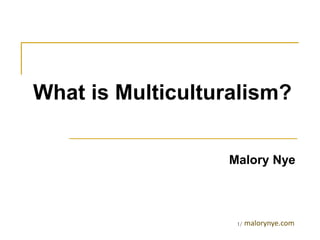 What is Multiculturalism?
Malory Nye
1/ malorynye.com
 