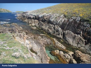 Punta Salgueira
 