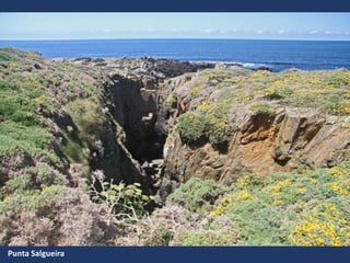 Punta Salgueira
 