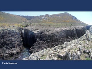 Punta Salgueira
 