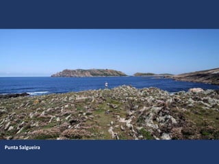 Punta Salgueira
 