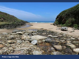 Praia e rego dos Riás
 