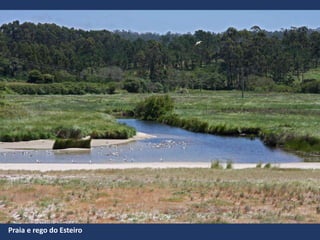Praia e rego do Esteiro
 