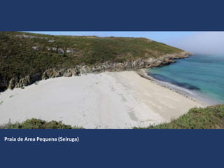 Praia de Area Pequena (Seiruga)
 