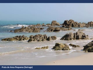 Praia de Area Pequena (Seiruga)
 