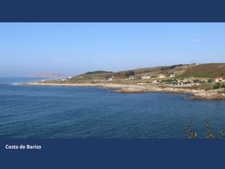 Costa de Barizo
 