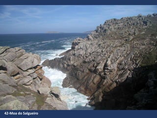42-Moa do Salgueiro
 